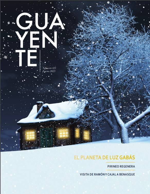 Revista 123