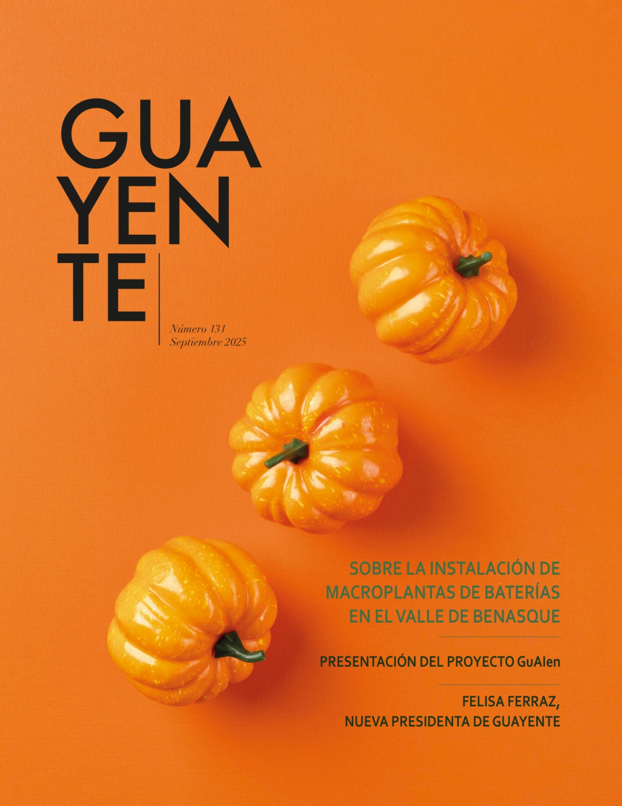 Revista 131