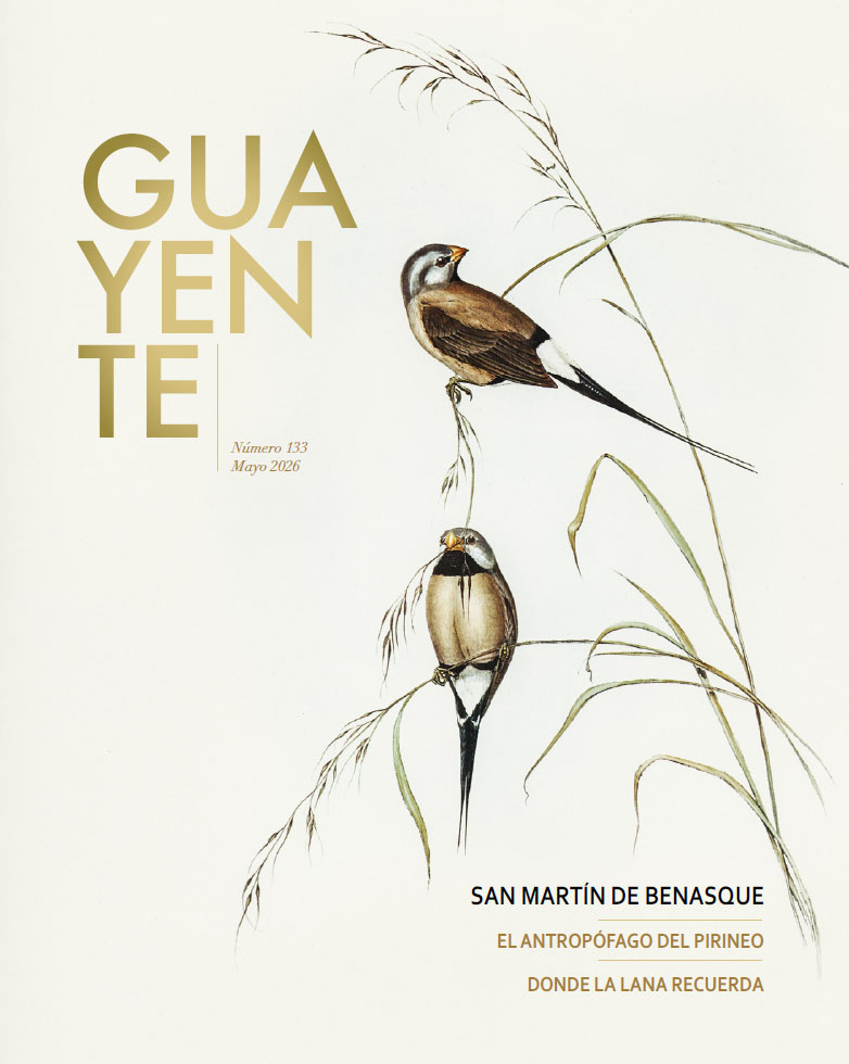 Revista 133