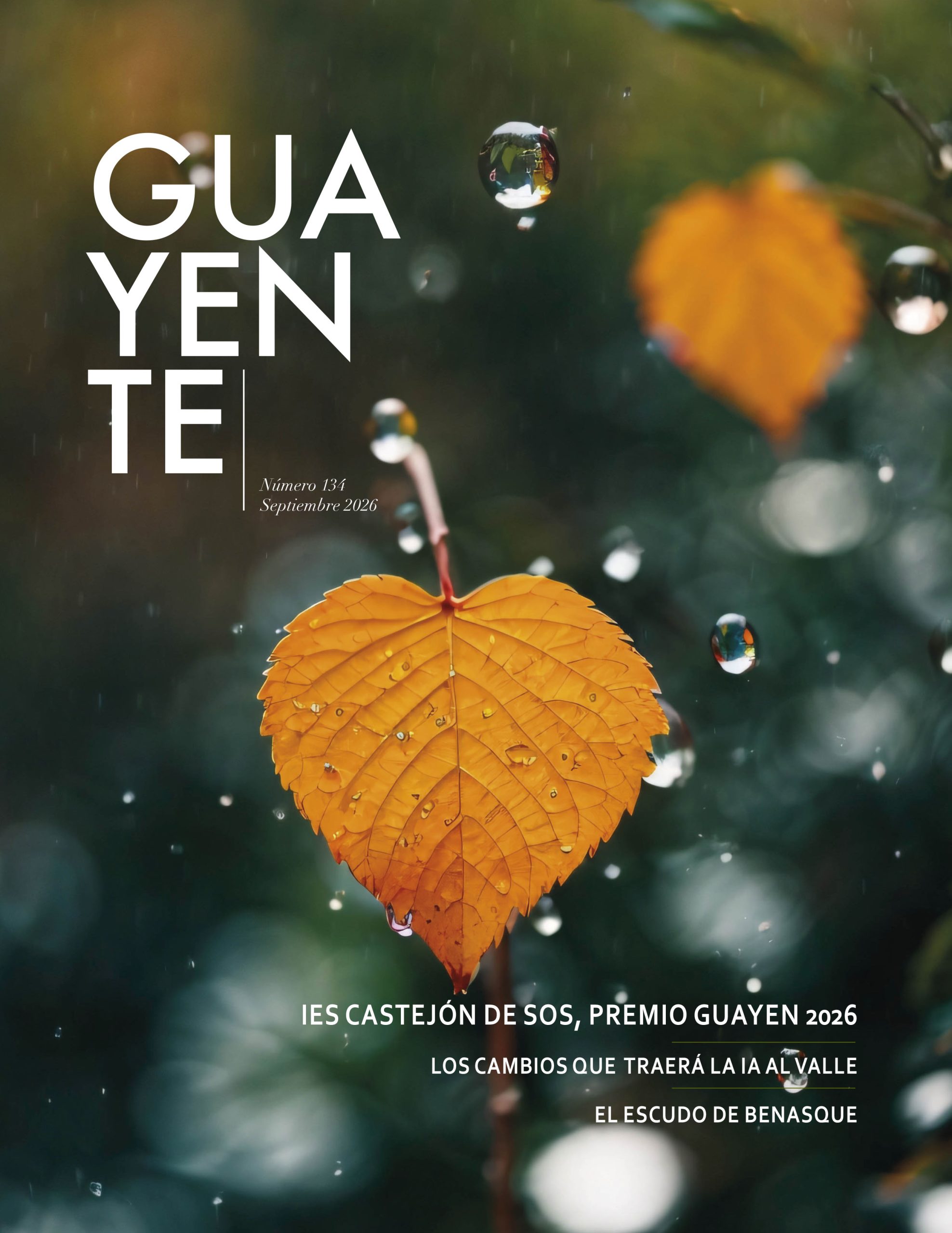 Revista 134